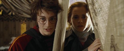 CdF-Potterish_3490.jpg