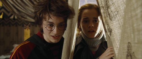 CdF-Potterish_3491.jpg