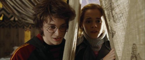 Click to view full size image
==============
CdF-Potterish_3492.jpg CdF-Potterish_3492.jpg