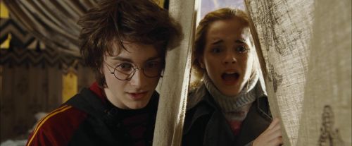 Click to view full size image
==============
CdF-Potterish_3493.jpg CdF-Potterish_3493.jpg