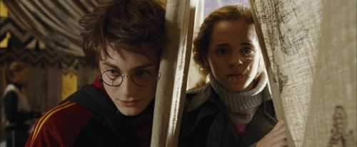 CdF-Potterish_3497.jpg