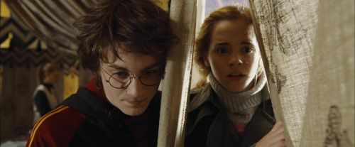 CdF-Potterish_3498.jpg