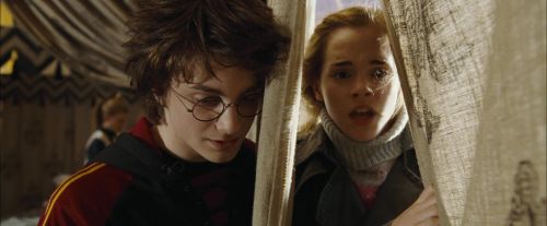 CdF-Potterish_3499.jpg