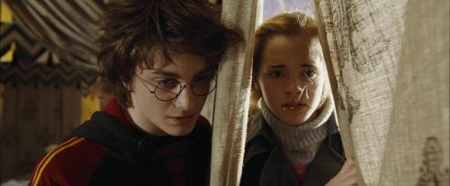 Click to view full size image
==============
CdF-Potterish_3501.jpg CdF-Potterish_3501.jpg