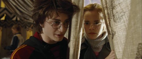 Click to view full size image
==============
CdF-Potterish_3503.jpg CdF-Potterish_3503.jpg