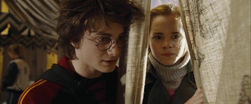 Click to view full size image
==============
CdF-Potterish_3504.jpg CdF-Potterish_3504.jpg