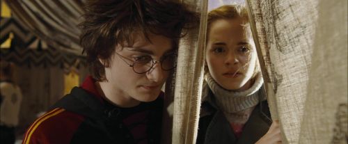 Click to view full size image
==============
CdF-Potterish_3505.jpg CdF-Potterish_3505.jpg