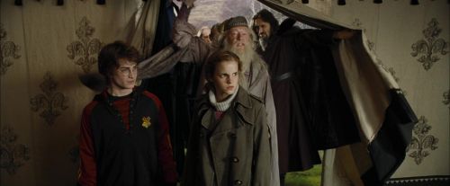 CdF-Potterish_3546.jpg