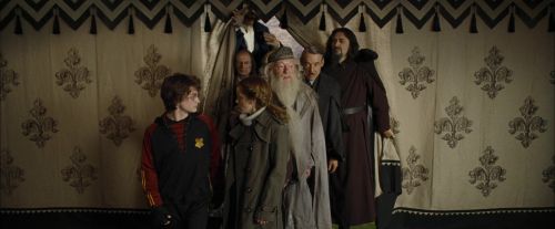 Click to view full size image
==============
CdF-Potterish_3548.jpg CdF-Potterish_3548.jpg