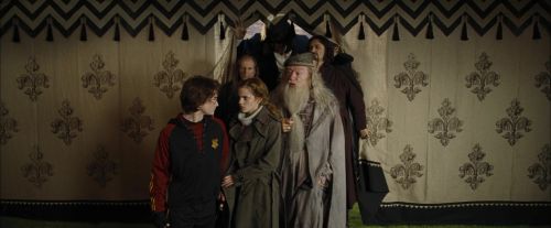 CdF-Potterish_3549.jpg