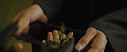 Click to view full size image
==============
CdF-Potterish_3582.jpg CdF-Potterish_3582.jpg