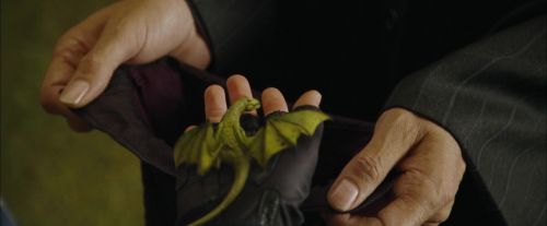 Click to view full size image
==============
CdF-Potterish_3583.jpg CdF-Potterish_3583.jpg