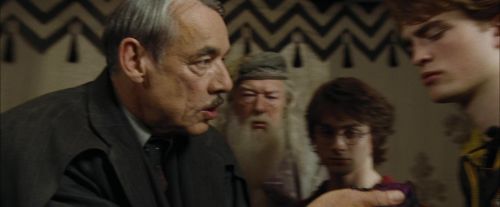 Click to view full size image
==============
CdF-Potterish_3597.jpg CdF-Potterish_3597.jpg