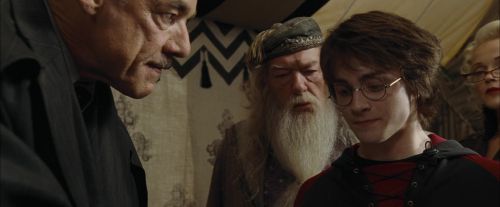 CdF-Potterish_3609.jpg