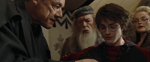 Click to view full size image
==============
CdF-Potterish_3610.jpg CdF-Potterish_3610.jpg