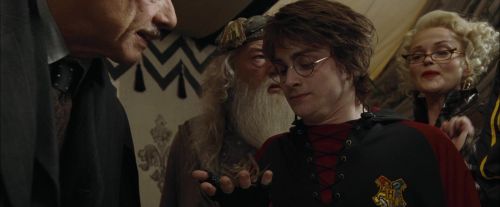 CdF-Potterish_3617.jpg