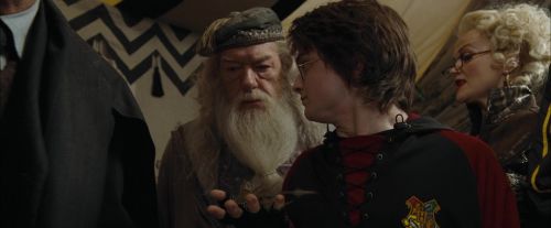 Click to view full size image
==============
CdF-Potterish_3618.jpg CdF-Potterish_3618.jpg