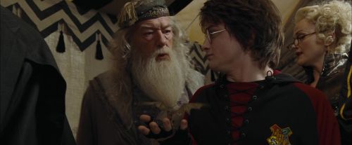CdF-Potterish_3619.jpg