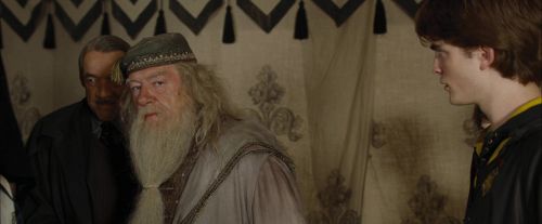 CdF-Potterish_3642.jpg