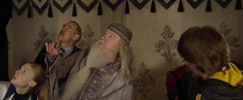 CdF-Potterish_3647.jpg