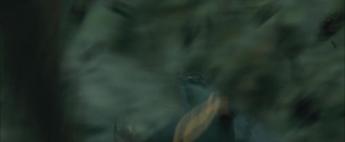 CdF-Potterish_3736.jpg