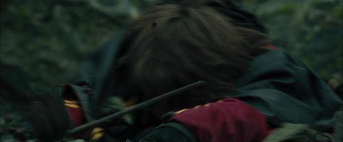 Click to view full size image
==============
CdF-Potterish_3737.jpg CdF-Potterish_3737.jpg