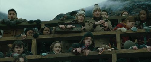 Click to view full size image
==============
CdF-Potterish_3746.jpg CdF-Potterish_3746.jpg
