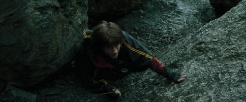 CdF-Potterish_3750.jpg