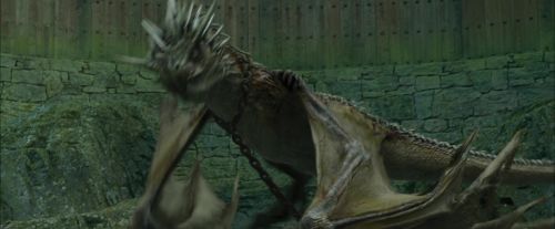Click to view full size image
==============
CdF-Potterish_3753.jpg CdF-Potterish_3753.jpg