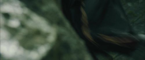 Click to view full size image
==============
CdF-Potterish_3769.jpg CdF-Potterish_3769.jpg