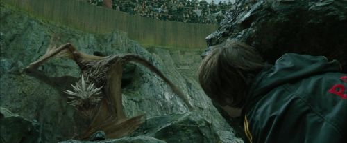 CdF-Potterish_3771.jpg