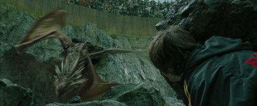 CdF-Potterish_3772.jpg
