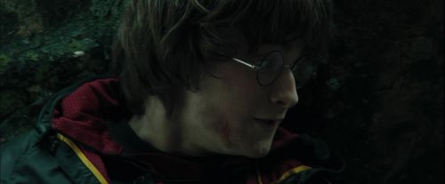CdF-Potterish_3776.jpg