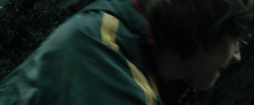 CdF-Potterish_3778.jpg