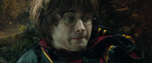 Click to view full size image
==============
CdF-Potterish_3788.jpg CdF-Potterish_3788.jpg