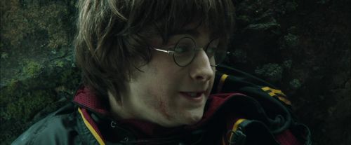 Click to view full size image
==============
CdF-Potterish_3789.jpg CdF-Potterish_3789.jpg