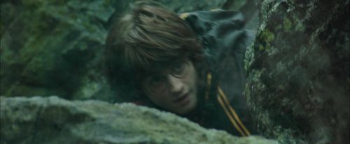 Click to view full size image
==============
CdF-Potterish_3791.jpg CdF-Potterish_3791.jpg