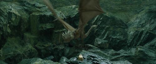 Click to view full size image
==============
CdF-Potterish_3803.jpg CdF-Potterish_3803.jpg