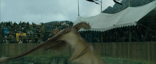 CdF-Potterish_3816.jpg