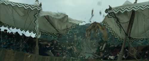 CdF-Potterish_3818.jpg