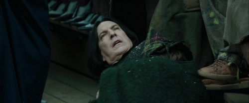 Click to view full size image
==============
CdF-Potterish_3823.jpg CdF-Potterish_3823.jpg
