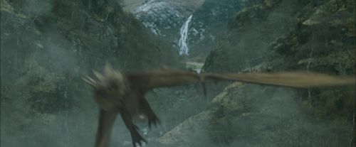 Click to view full size image
==============
CdF-Potterish_3830.jpg CdF-Potterish_3830.jpg