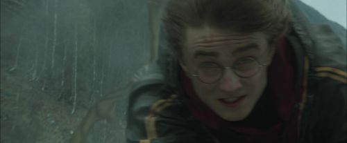 Click to view full size image
==============
CdF-Potterish_3831.jpg CdF-Potterish_3831.jpg