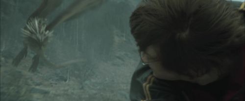 Click to view full size image
==============
CdF-Potterish_3832.jpg CdF-Potterish_3832.jpg