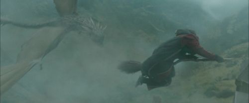 CdF-Potterish_3838.jpg