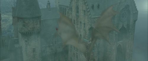 Click to view full size image
==============
CdF-Potterish_3843.jpg CdF-Potterish_3843.jpg