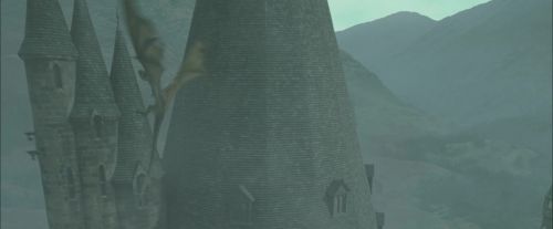 CdF-Potterish_3866.jpg