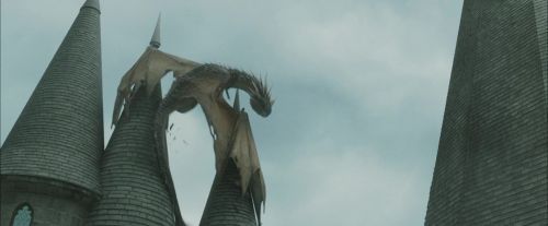 CdF-Potterish_3878.jpg