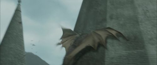 CdF-Potterish_3880.jpg