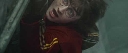 Click to view full size image
==============
CdF-Potterish_3902.jpg CdF-Potterish_3902.jpg